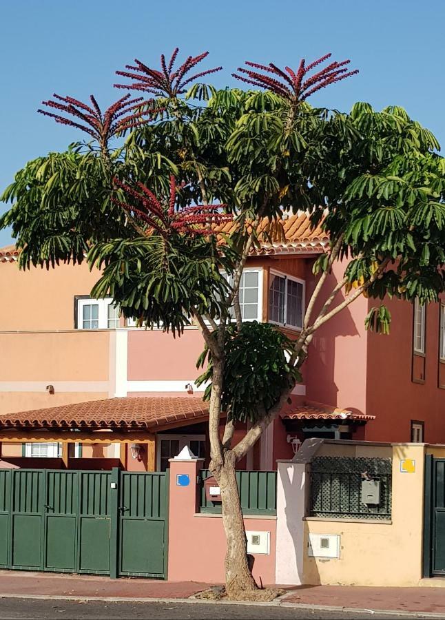 Rosas By Villas Rinamar Las Rosas  Extérieur photo